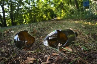 No Hyperlink Between Mild Consuming and ...