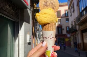 Sevilla Meals Suggestions – The Fi...