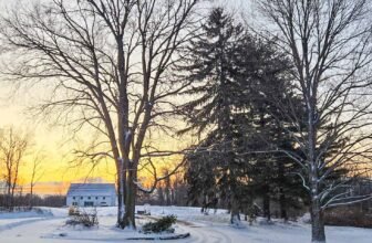 The Little Issues E-newsletter #457 R...