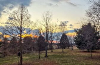 The Little Issues Publication #458 ̵...