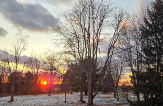 The Little Issues Publication #459 ̵...