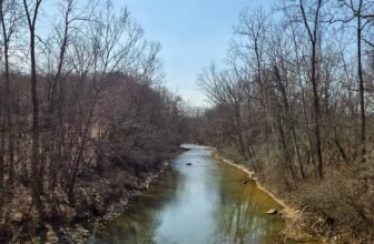 The Little Issues E-newsletter #460 R...