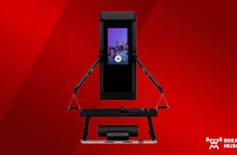 Knowledgeable-Examined: Tonal Evaluation...