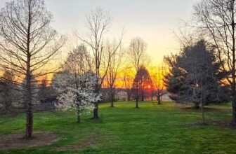 The Little Issues Publication #464 ̵...