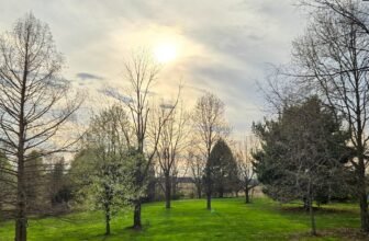 The Little Issues E-newsletter #465 R...