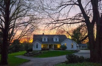 The Little Issues Publication #466 ̵...