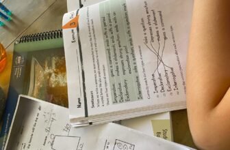 Our homeschool curriculum – The Fi...