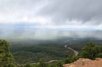 The Little Issues Publication #468 -Life...