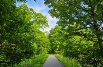 The Little Issues E-newsletter #471 R...