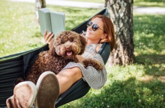 The best way to Make Relaxation Really f...