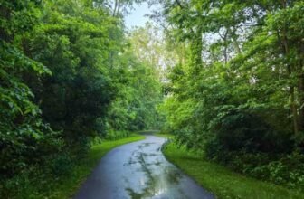 The Little Issues Publication #472 ̵...