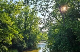 The Little Issues E-newsletter #473 R...