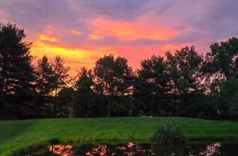 The Little Issues E-newsletter #475 R...