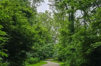 The Little Issues E-newsletter #477 R...