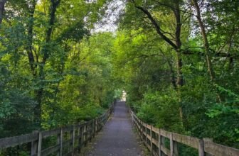 The Little Issues E-newsletter #479 R...