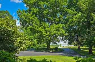 The Little Issues E-newsletter #476 R...