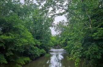 The Little Issues E-newsletter #478 R...