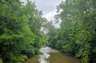 The Little Issues E-newsletter #480 R...