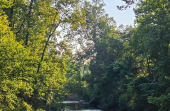 The Little Issues E-newsletter #483 R...