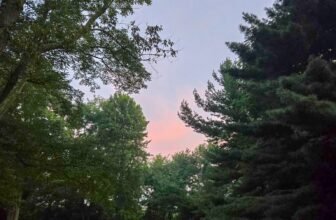 The Little Issues E-newsletter #484 R...