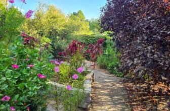 The Little Issues E-newsletter #486 R...