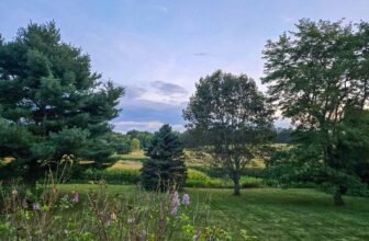 The Little Issues Publication #485 ̵...