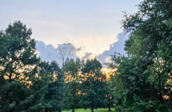 The Little Issues E-newsletter #488 R...