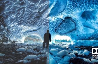 Dolby Imaginative and prescient 2 shall ...