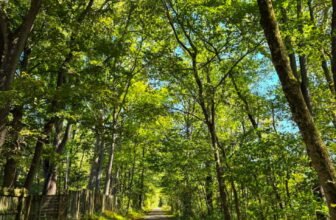 The Little Issues Publication #489 ̵...