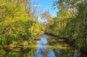 The Little Issues Publication #490 ̵...