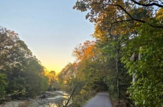 The Little Issues Publication #491 ̵...