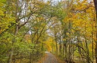 The Little Issues E-newsletter #492 R...