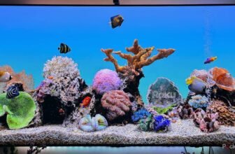 You do not want a brand new Roku; you ha...