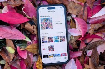 Nintendo simply quietly launched a enjoy...