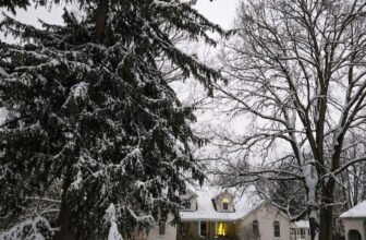 The Little Issues E-newsletter #498 R...