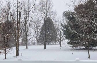 The Little Issues Publication #499 ̵...