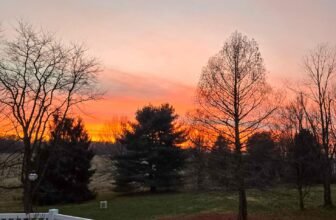 The Little Issues Publication #501 ̵...